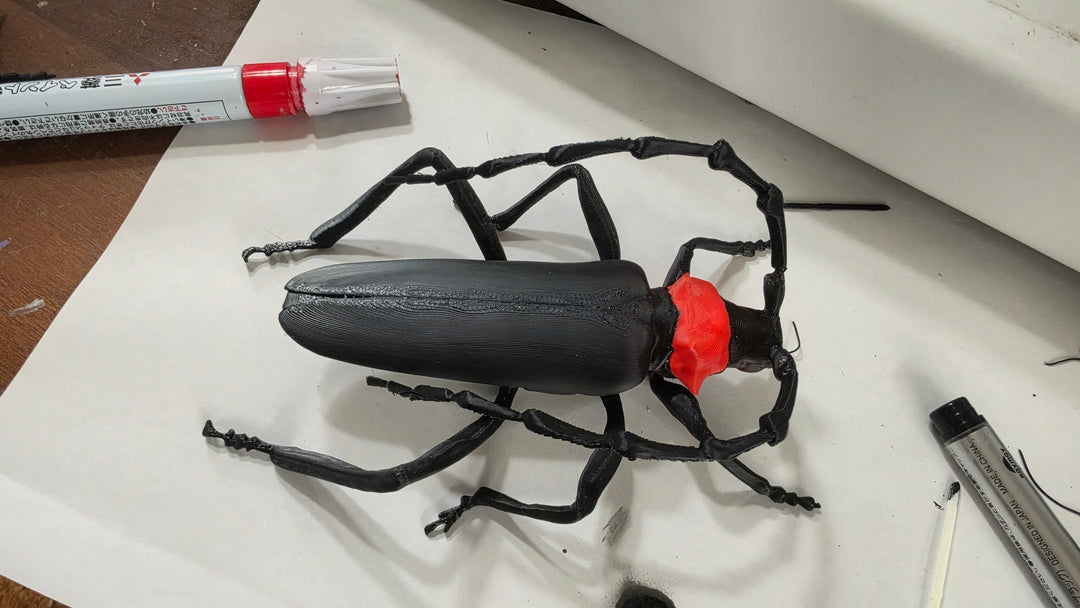 クビアカツヤカミキリ模型