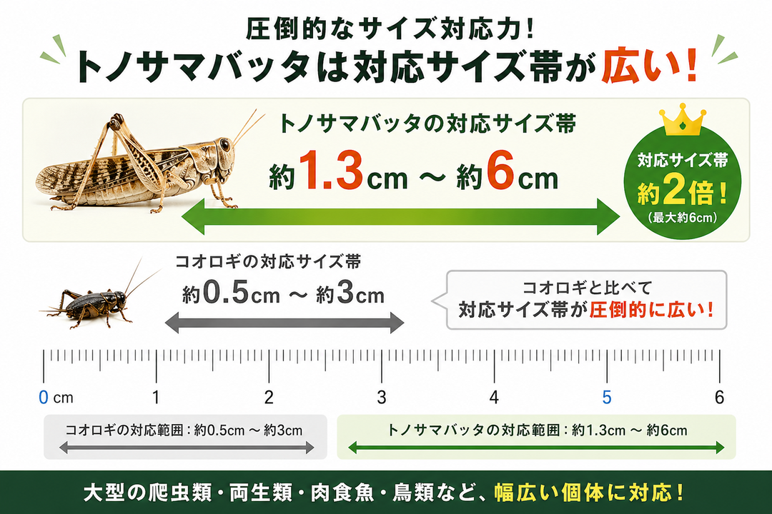 ベビーサイズ（S）